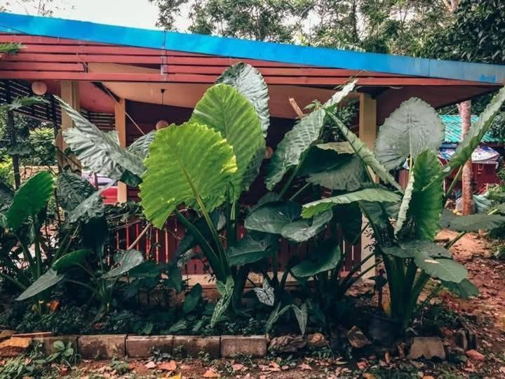 Song Pee Nong Resort Phattalung Phatthalung Εξωτερικό φωτογραφία